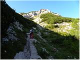 Planina Ravne - Kocbekov dom na Korošici